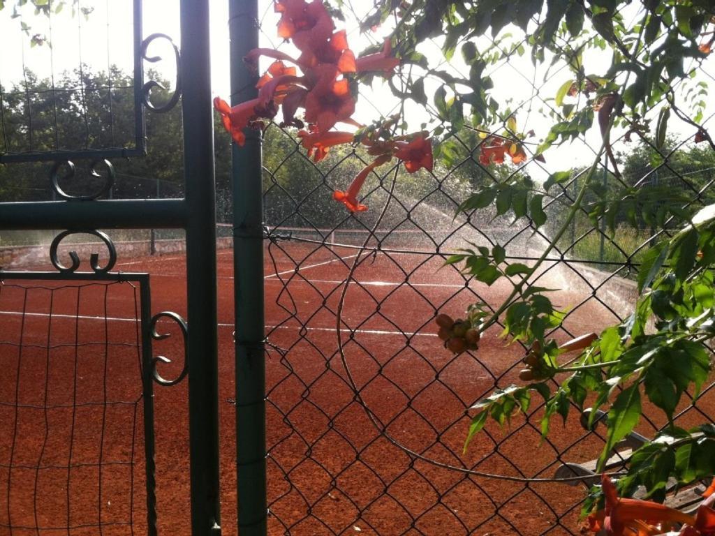 Villa In Funtana With Private Tenniscourt Экстерьер фото